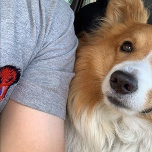 Meet your Posher, Franco